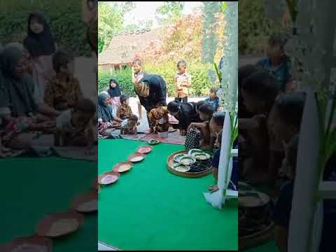 Tedak siten kenzo alvaro