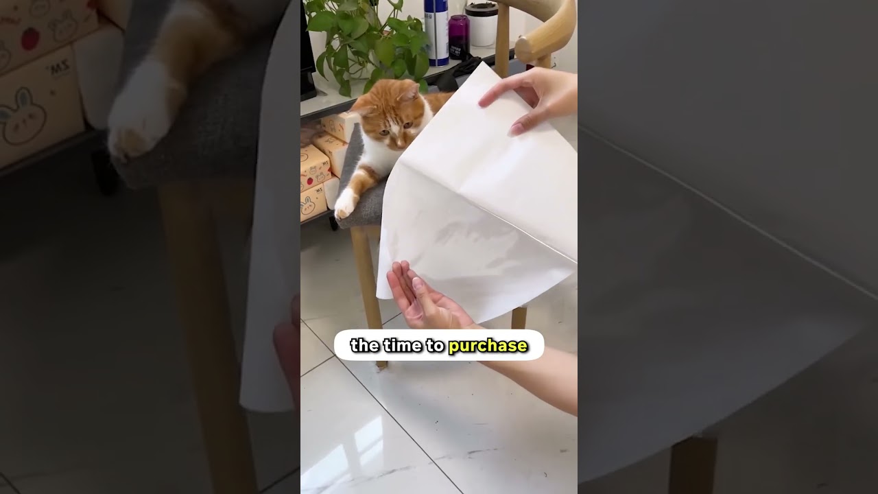 It’s time to cover up your sofa with this Anti-Scratch Tape 🛋️🐈