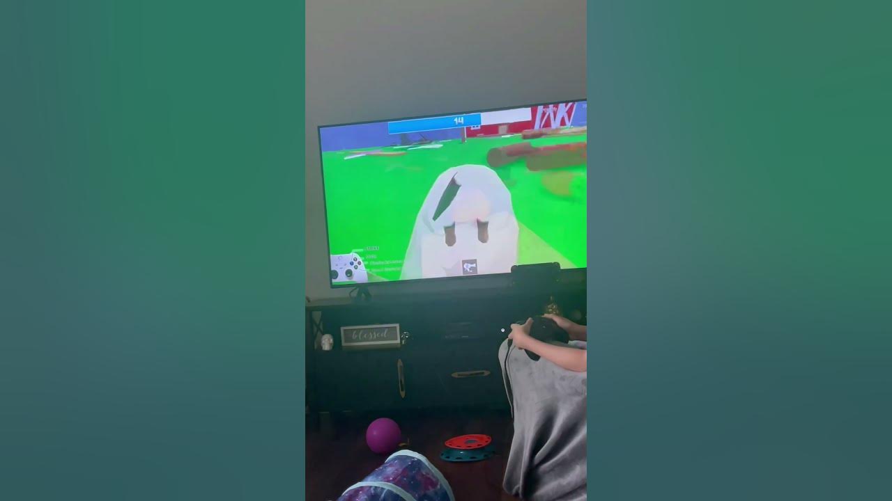 Bad Cat ROBLOX - YouTube