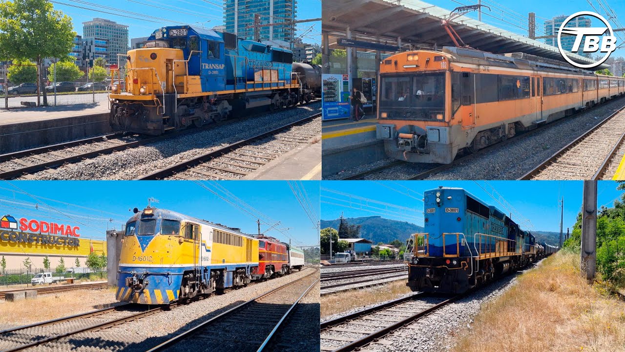 Trenes de TRANSAP, maniobras tren especial EFE y UT-440 102 entre Concepción y Hualqui