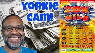 20X Wild | Full Pack of Scratch Off Tickets #scratchers #lottery  screenshot 4