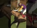 How did this happen?! 🤯 Some comeback from Willie Mullins...