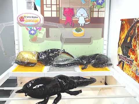 Got [Hercules Beetle VS Giraffe Stag-Beetle Big 2018 B]!!
