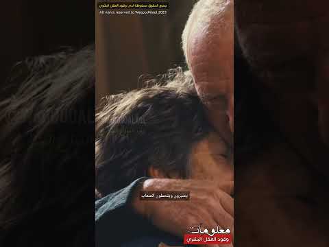 غرائب الأسماء هل تعلم ما معنى إسم نور ستندهش معاني الأسماء صفات إسم نور الأسماء العربية