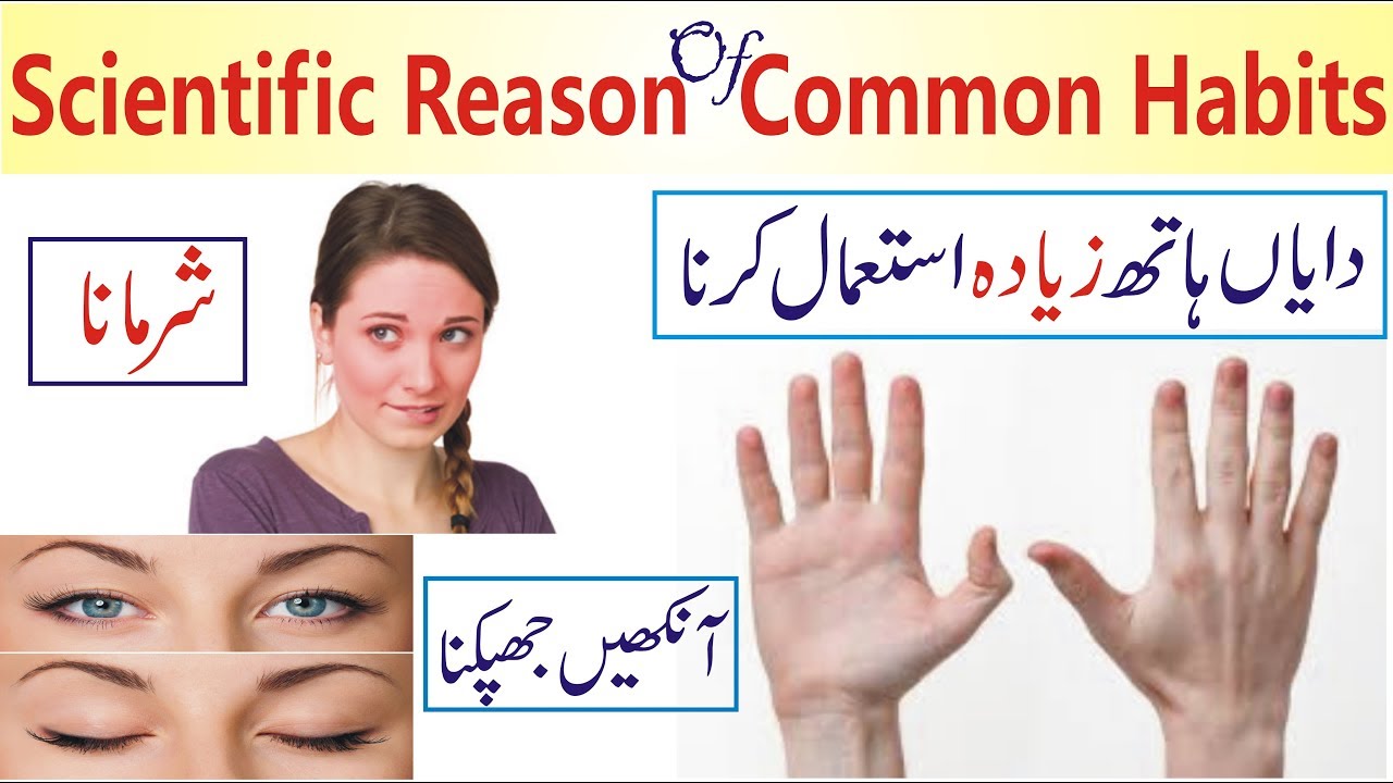 Scientific Reasons of Some common Habits in Urdu why do we blink why do we blush zone out