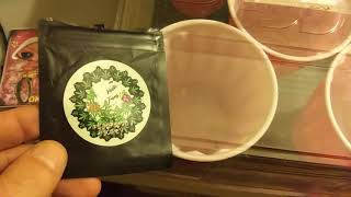 OKIE Grow Update!