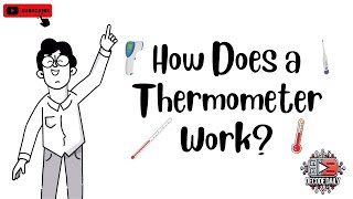 How Does a Thermometer Work 🌡️