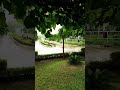 Sabarmati Asram Gaushala Sabarmati Asram Gaushala