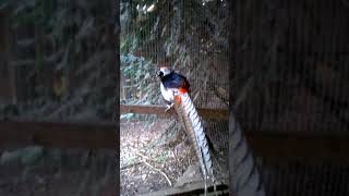 WP 20170925 14 52 29 Pro