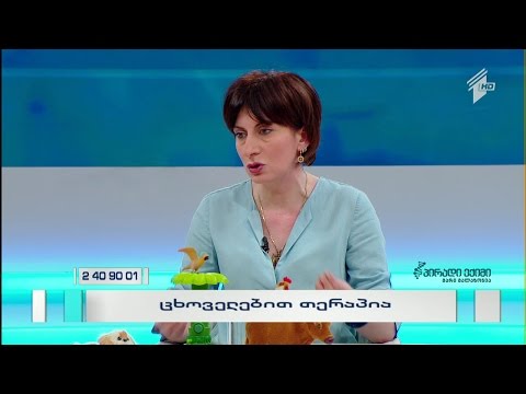 ცხოველებით თერაპია