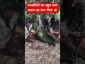 Naksliye ke sath opretion #bsf #shorts #army