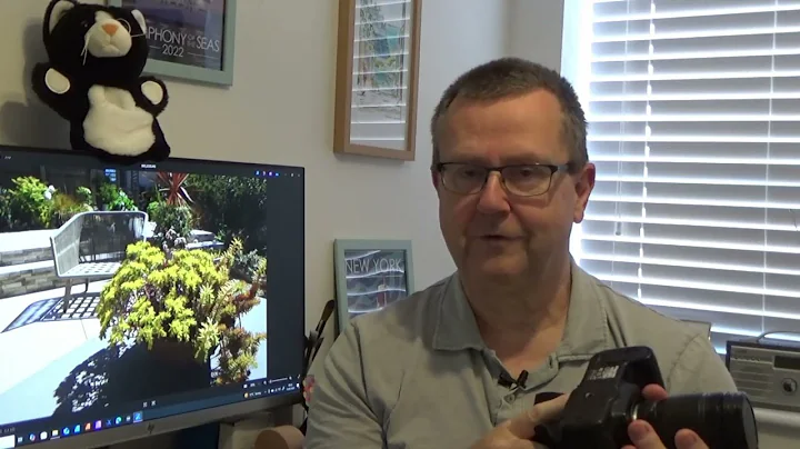 Purchase and initial thoughts of Sigma 18-200mm lens on Nikon D200