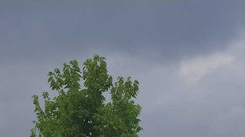 Skynet Drone Spotted