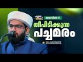The Green Tree That Catches Fire Heart Knows Surah Yaseen 17 DR HAFIZ JUNAID JOUHARI AL AZHARI 