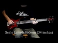 Best bass guitar Aria Pro II IGB STD (best guitar sound, sound of a musical instrument)