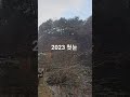 2023 횡성에서 보는 &#39;첫눈&#39;