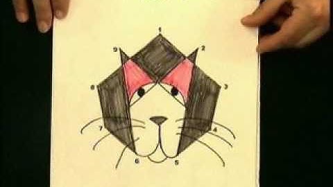 Pollywogs to Polygons Video Demo