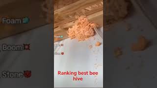 Ranking best bee hive