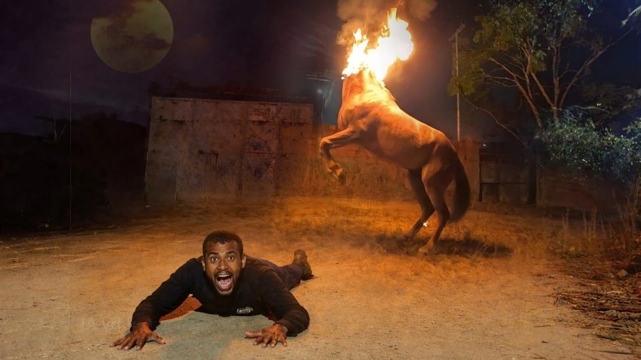 O TERRÍVEL ENCONTRO COM A MULA SEM CABEÇA 