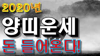 2020년 양띠운세, 양은 쥐를 싫어해. 돈애는 체면이 없다. 싫어도 해야한다.