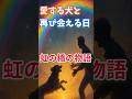 ペットロスの心に届く物語|虹の橋で再び会えるその日まで【犬との別れ】#虹の橋 #犬との別れ #ペットロス #犬好き  #犬の物語  #Heartwarming  #Shorts