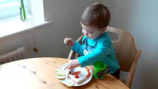 Toddler | Encouraging A Healthy Diet | StreamingWell.com