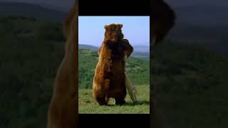 🏹Winnetou: The Red Gentleman— Who Wins? #shorts
