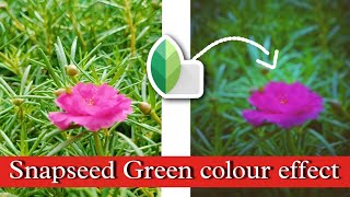 Snapseed Green colour effect !! Best Gree Colour effect Snapseed app !! Snapseed Photo Editing !! screenshot 2