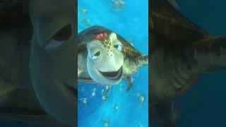 Trivia  Finding Nemo 2003