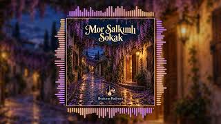 Mor Salkımlı Sokak Anatolian Psychedelic Ai Cover - Bozkırın Radyosu