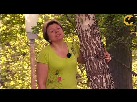 Андрей Болотов-первый русский