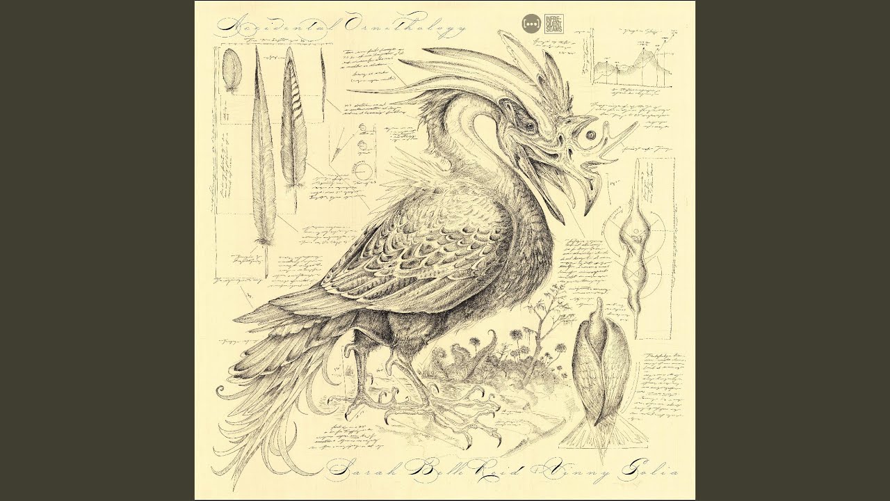 Watch Red Crested Floobog on YouTube Watch Red Crested Floobog on YouTube