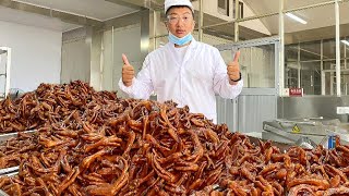 浙江33年老店，专业卤鸭货，2千斤鸭掌煮7大锅，只用环保颗粒烧锅炉【麦总去哪吃】