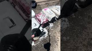 CKC - How to clean Kennels, Carriers - Items outside