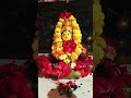 Jai maa durga 🙏✨❤️