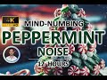 Mindnumbing peppermint noise  12 hours  black screen  study sleep tinnitus relief and focus