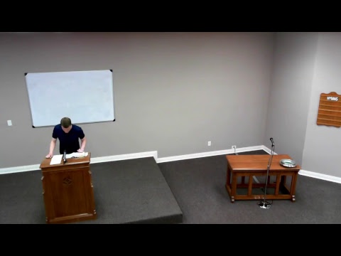 Video preview