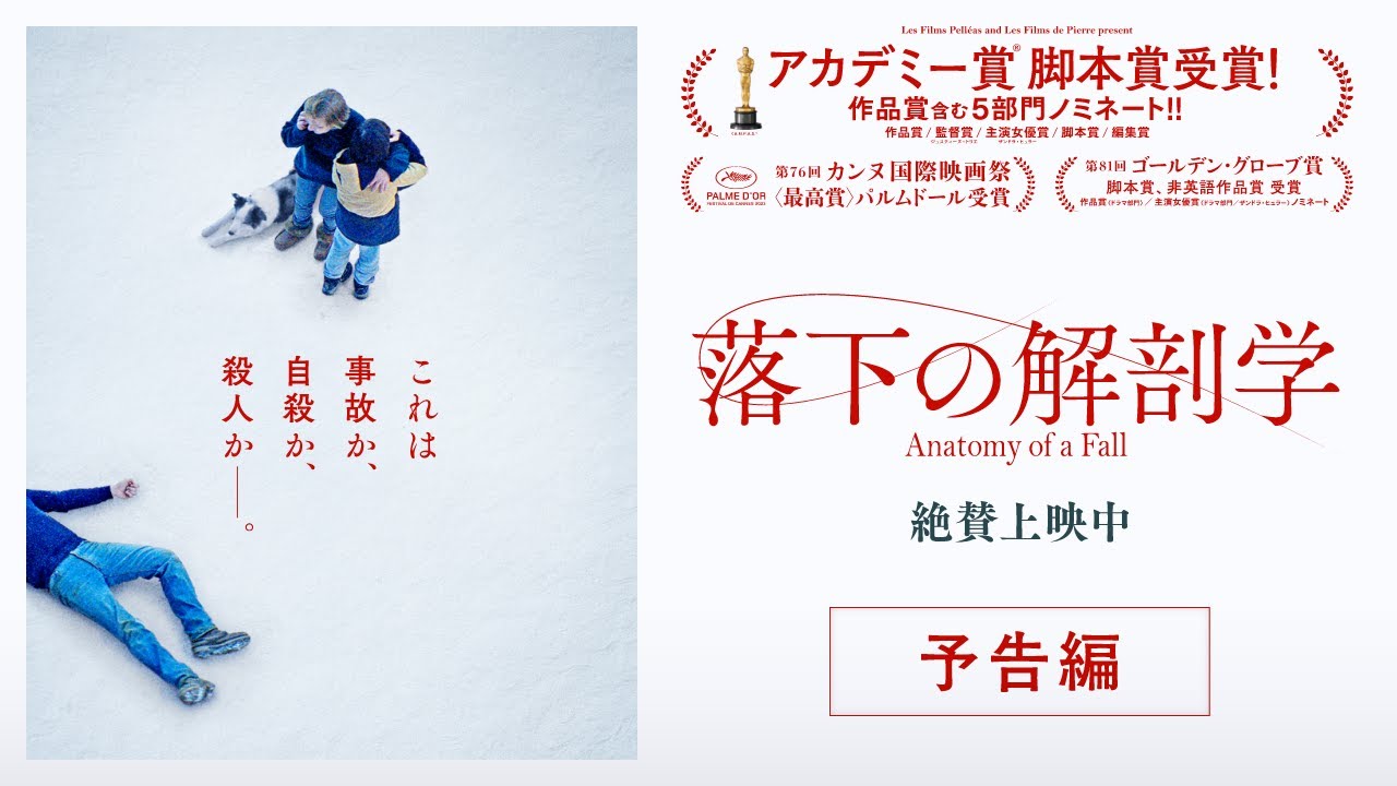 映画『落下の解剖学』を解説。社会的な地位のある女性が直面する不公正をどう描いたか ｜ カルチャーメディアNiEW（ニュー）