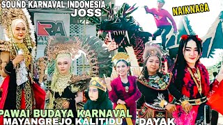 NONTON PAWAI BUDAYA KARNAVAL MAYANGREJO KALITIDU BOJONEGORO SOUNDNE MANTAP 
