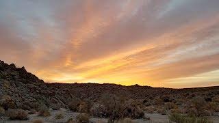 Porcupine Wash in Joshua Tree