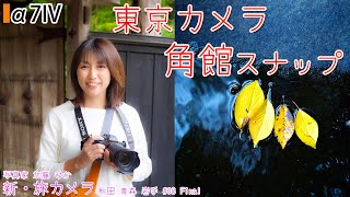 【α7IV a7iv】「桜の名所、武家屋敷で有名な秋田県角館町でスナップ撮影」東京カメラ 写真家 加藤ゆか