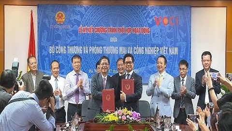 Bộ công thương và vcci cấp những form co nào năm 2024