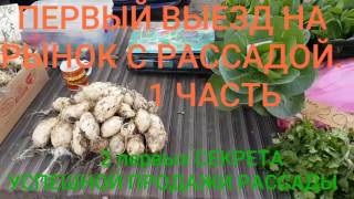 Первый выезд с РАССАДОЙ. 1 ЧАСТЬ. 2 Секрета успешной торговли рассадой. ЛЮБИМЫЕ ❤ТЁЩА❤ С ТЕСТЕМ🤗