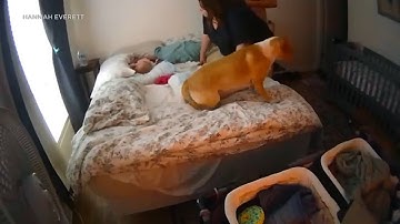 Nanny cam captures moment parents rush in to grab twin babies during SoCal earthquake
