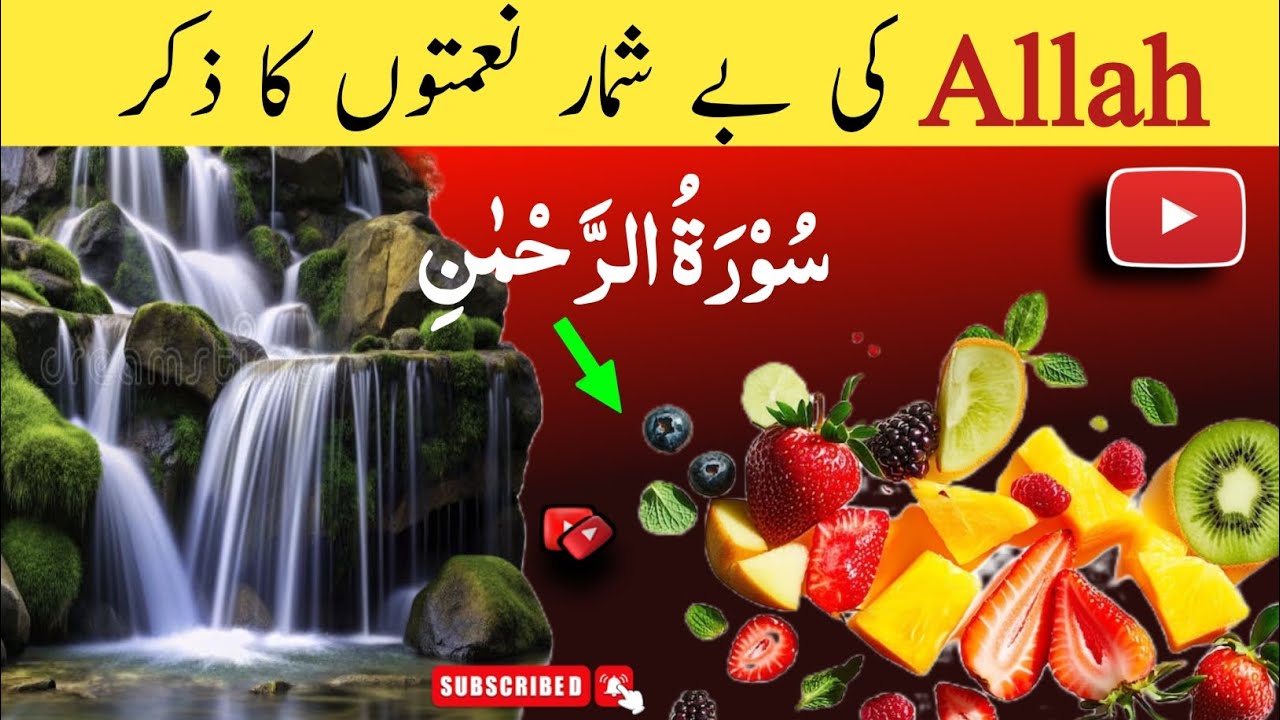 Surah al Rahman, Blessings of Allah #surahalrahman #quran #quranrecitation 