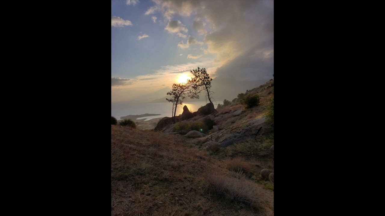 Remember the Mountain Bed