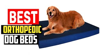 ✅Top 5 Best Orthopedic Dog Beds in 2025