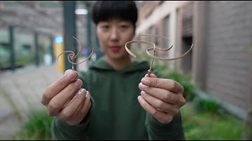 Berkeley students develop "e-seeds" for reforestation by drone