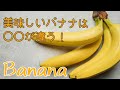 【美味しいポイント】美味しいバナナを選ぶポイントは〇〇を見るだけ！