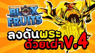 Blox Fruits: 👑 ลุยดันพระคนเดียวโครตตึง!! ด้วยเผ่าตื่น Angle v4 !?